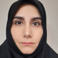 Zeinab Soltani