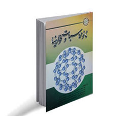 نانومحاسبات و فولرینها